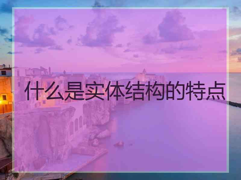 什么是实体结构的特点