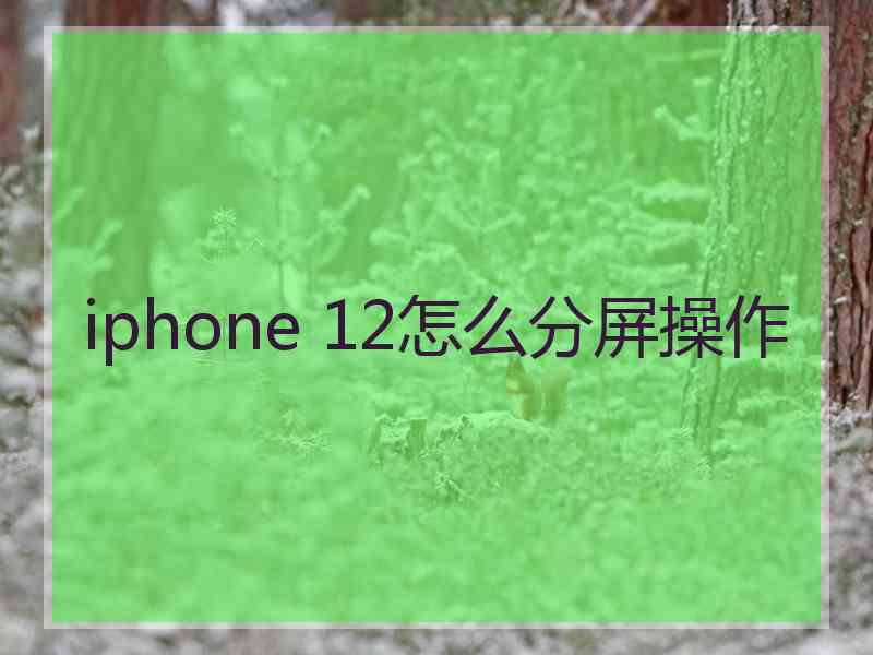 iphone 12怎么分屏操作