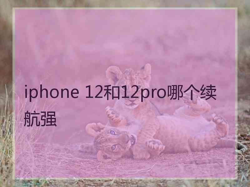 iphone 12和12pro哪个续航强