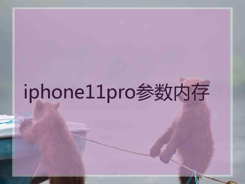 iphone11pro参数内存