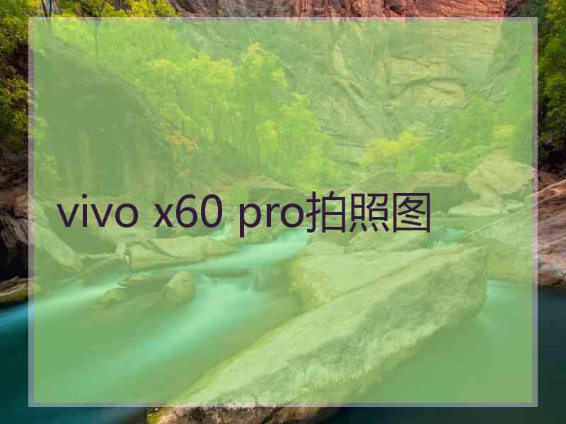 vivo x60 pro拍照图