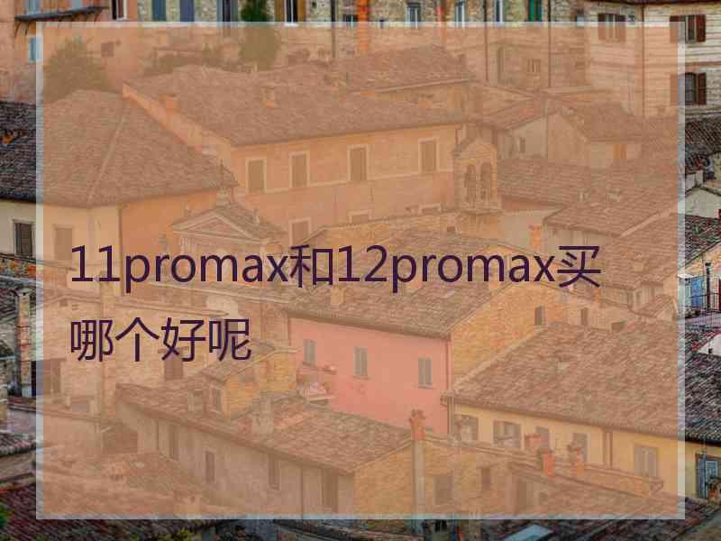 11promax和12promax买哪个好呢