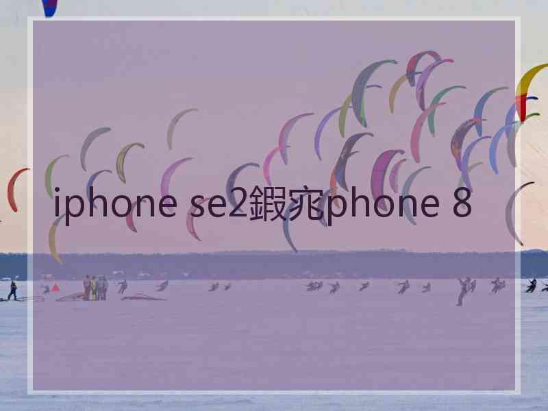 iphone se2鍜宨phone 8