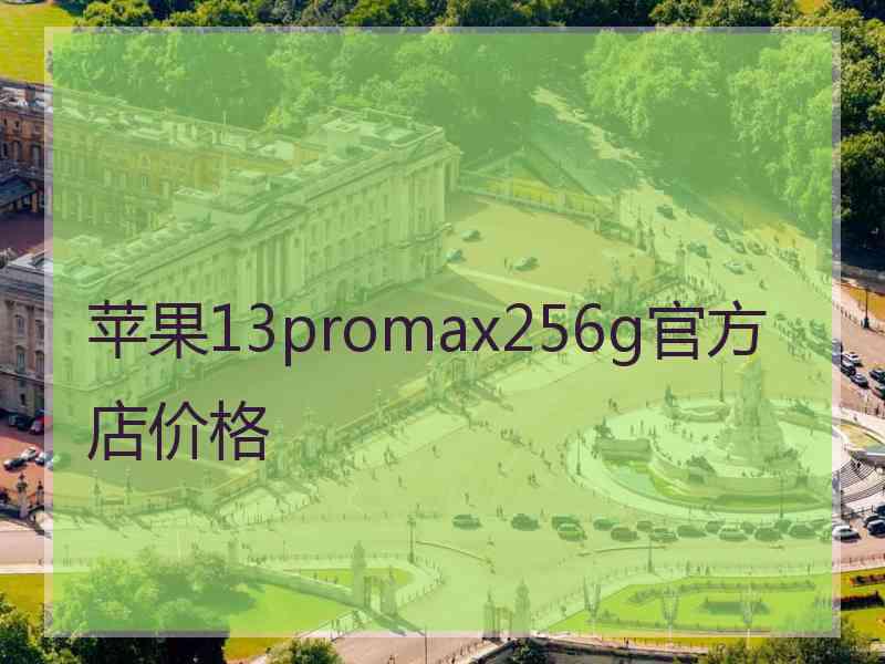 苹果13promax256g官方店价格