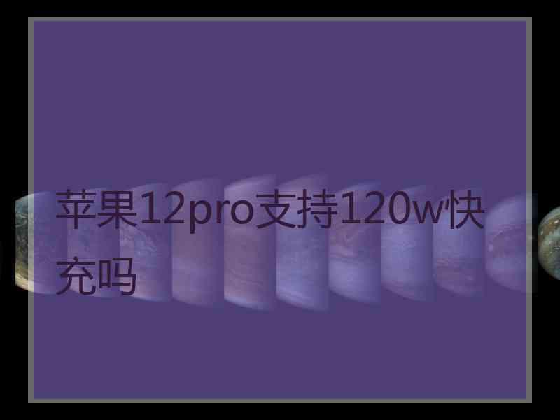 苹果12pro支持120w快充吗