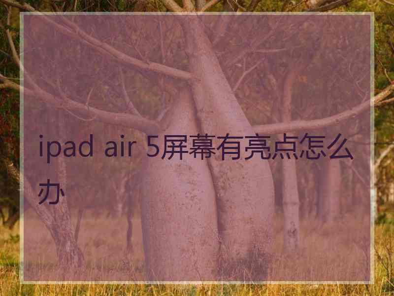 ipad air 5屏幕有亮点怎么办