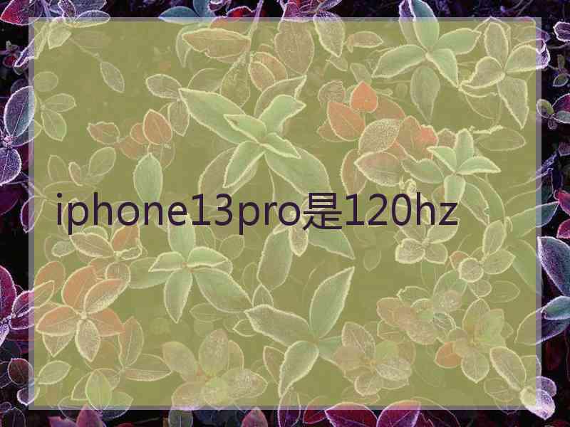 iphone13pro是120hz