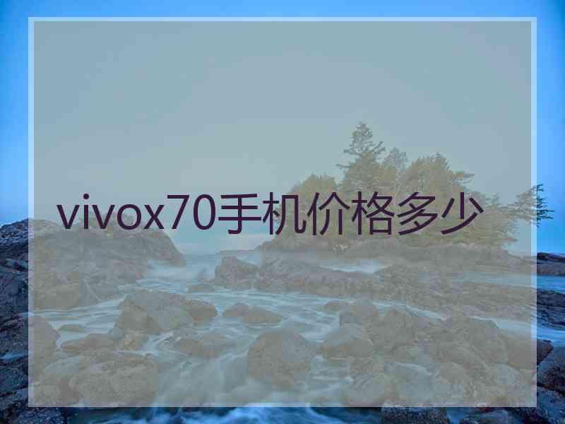 vivox70手机价格多少