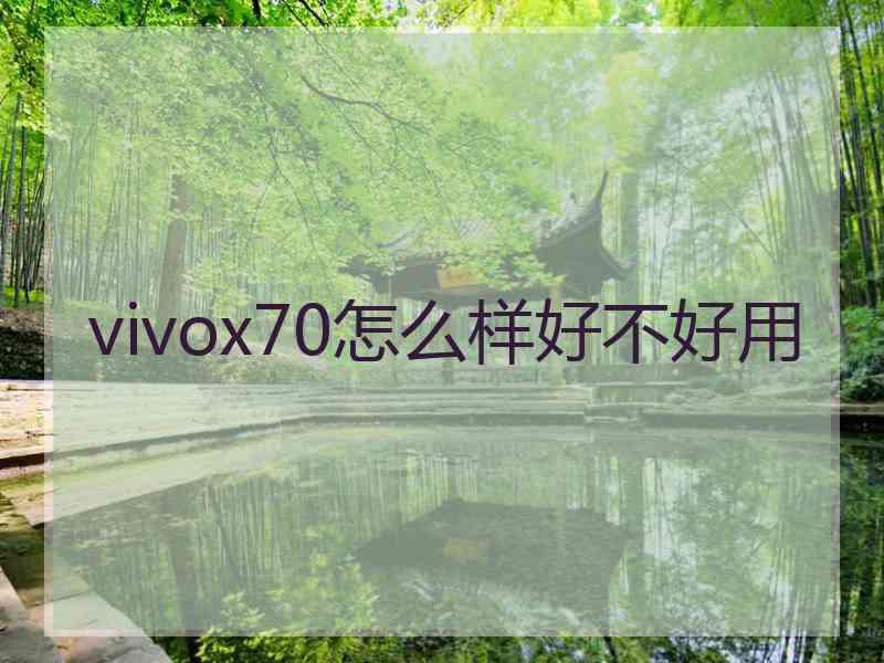 vivox70怎么样好不好用