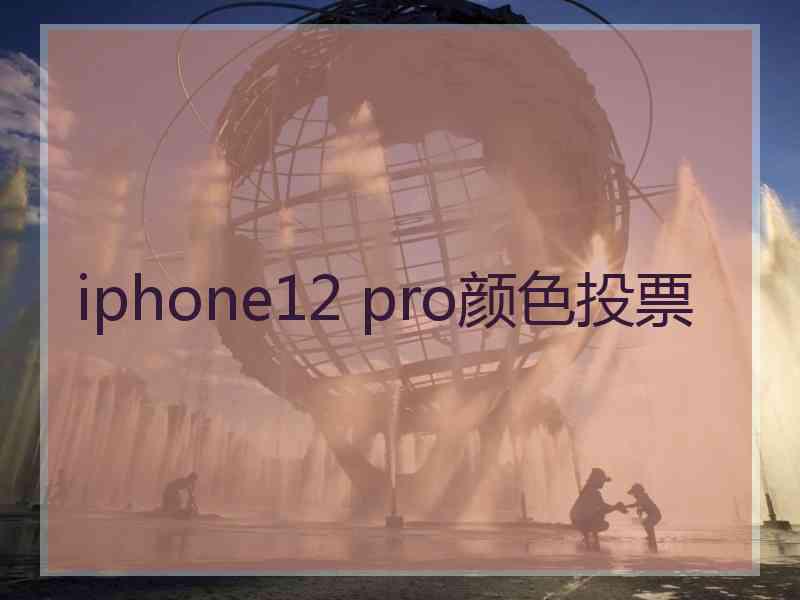 iphone12 pro颜色投票