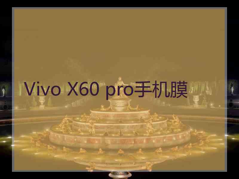 Vivo X60 pro手机膜