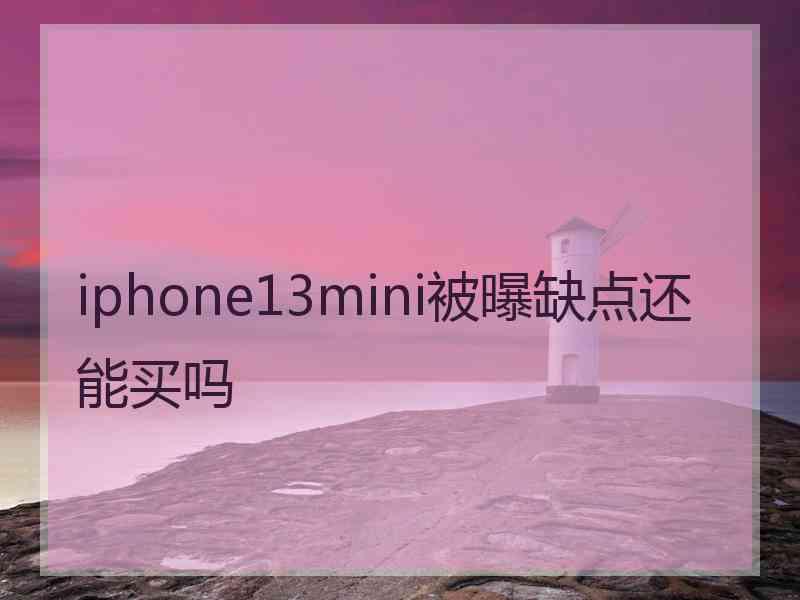 iphone13mini被曝缺点还能买吗