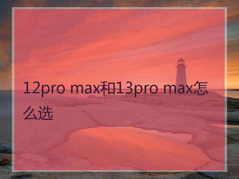 12pro max和13pro max怎么选