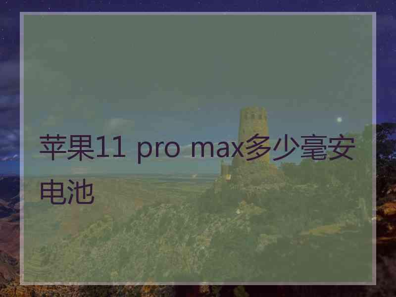 苹果11 pro max多少毫安电池