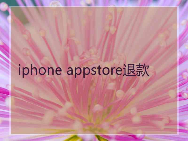 iphone appstore退款