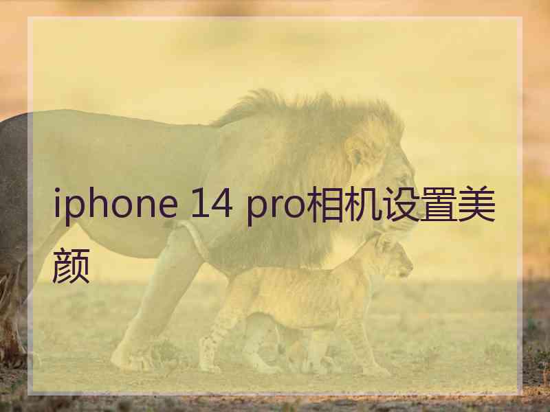 iphone 14 pro相机设置美颜