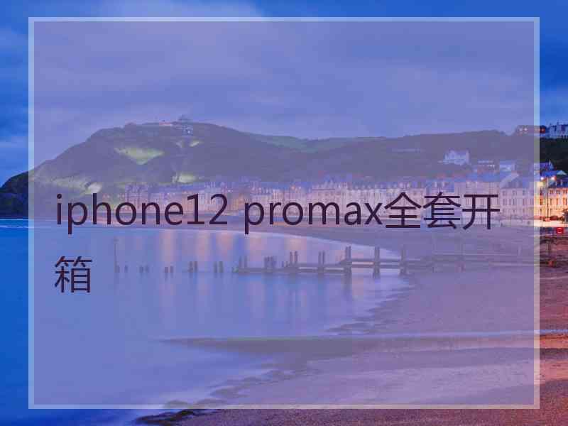 iphone12 promax全套开箱