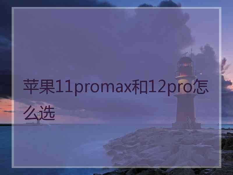 苹果11promax和12pro怎么选