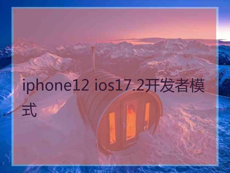 iphone12 ios17.2开发者模式