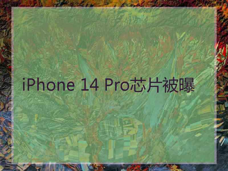 iPhone 14 Pro芯片被曝