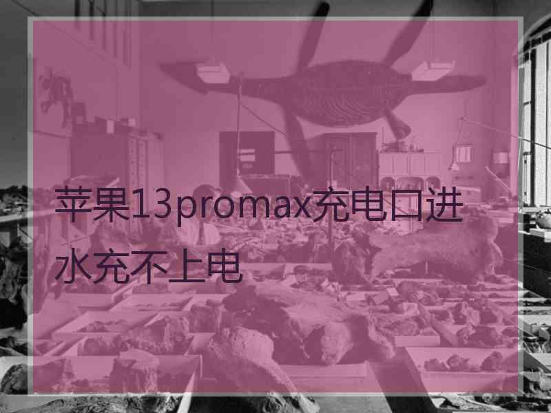 苹果13promax充电口进水充不上电