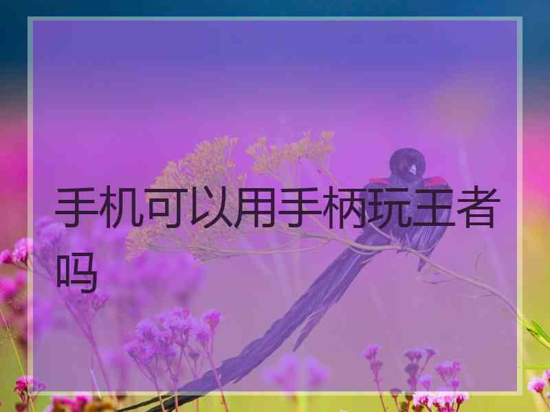 手机可以用手柄玩王者吗