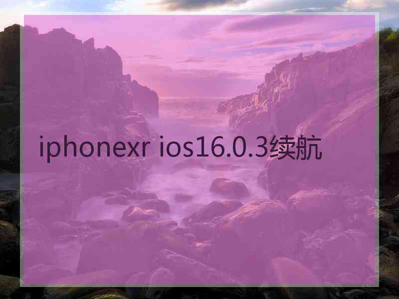 iphonexr ios16.0.3续航