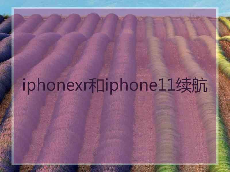 iphonexr和iphone11续航