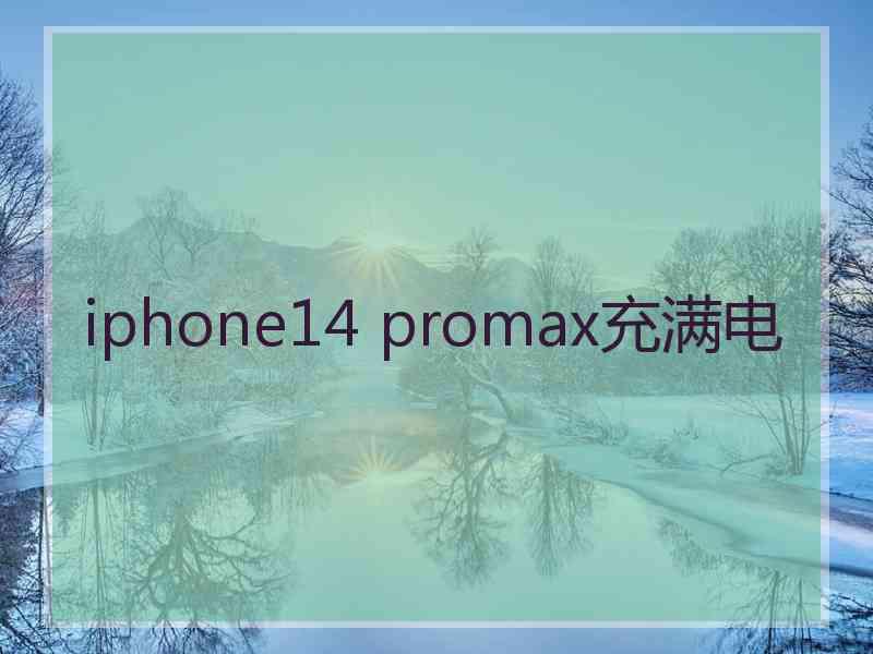 iphone14 promax充满电