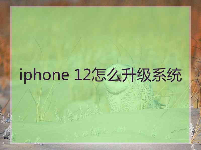 iphone 12怎么升级系统