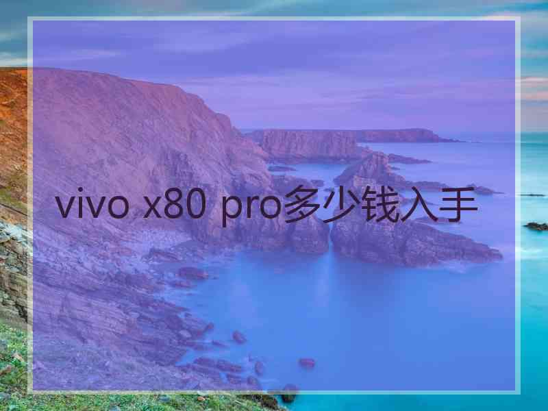 vivo x80 pro多少钱入手