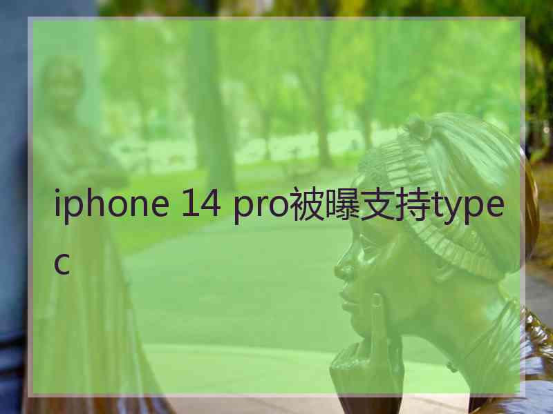 iphone 14 pro被曝支持typec