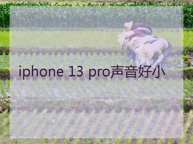 iphone 13 pro声音好小