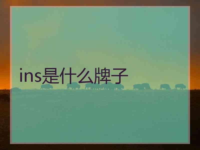 ins是什么牌子