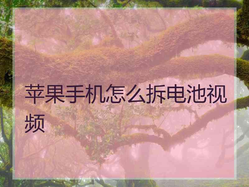 苹果手机怎么拆电池视频