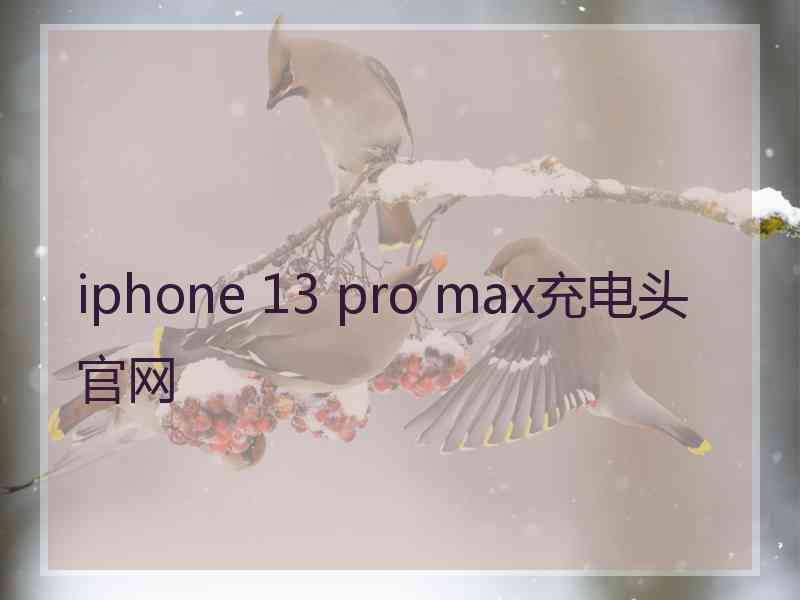 iphone 13 pro max充电头官网