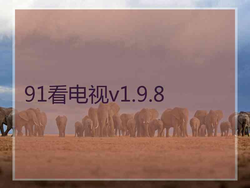 91看电视v1.9.8