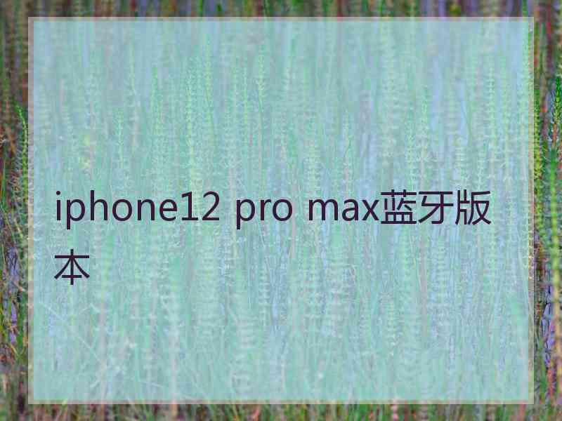 iphone12 pro max蓝牙版本