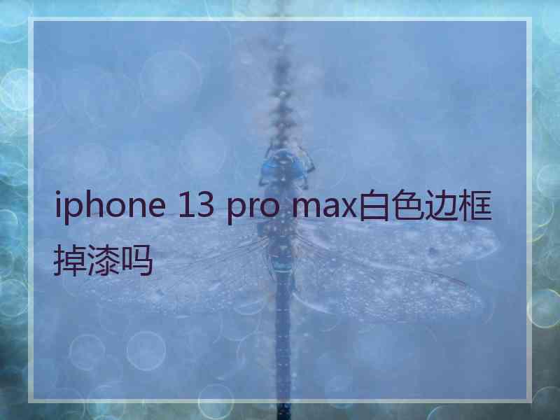 iphone 13 pro max白色边框掉漆吗