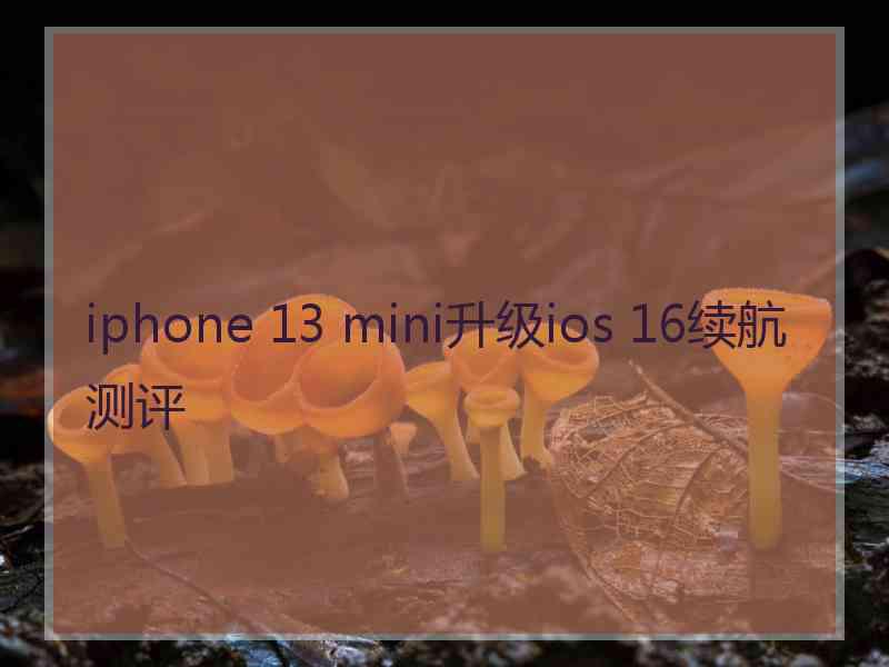 iphone 13 mini升级ios 16续航测评