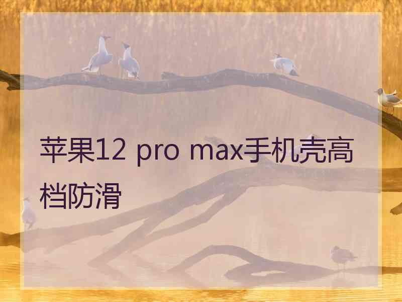 苹果12 pro max手机壳高档防滑