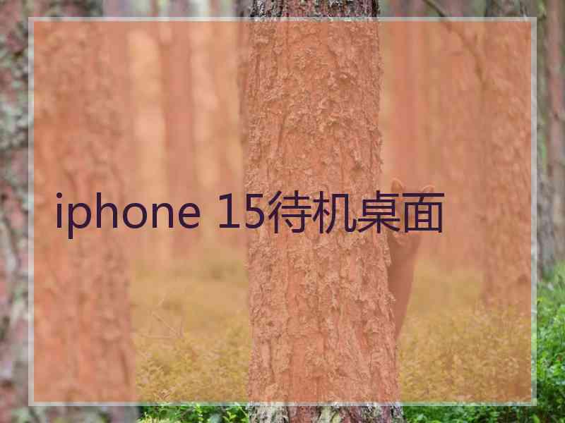 iphone 15待机桌面