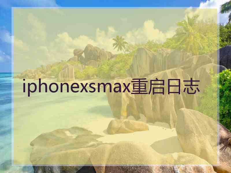 iphonexsmax重启日志