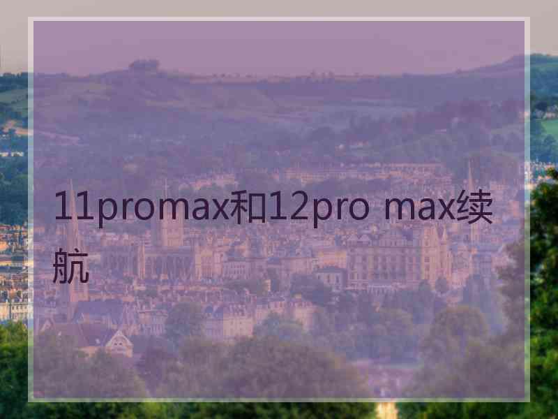 11promax和12pro max续航