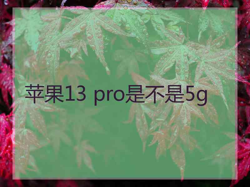 苹果13 pro是不是5g