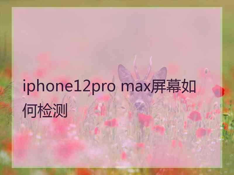 iphone12pro max屏幕如何检测