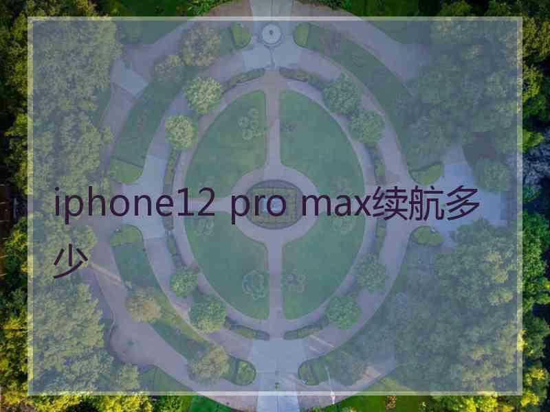 iphone12 pro max续航多少