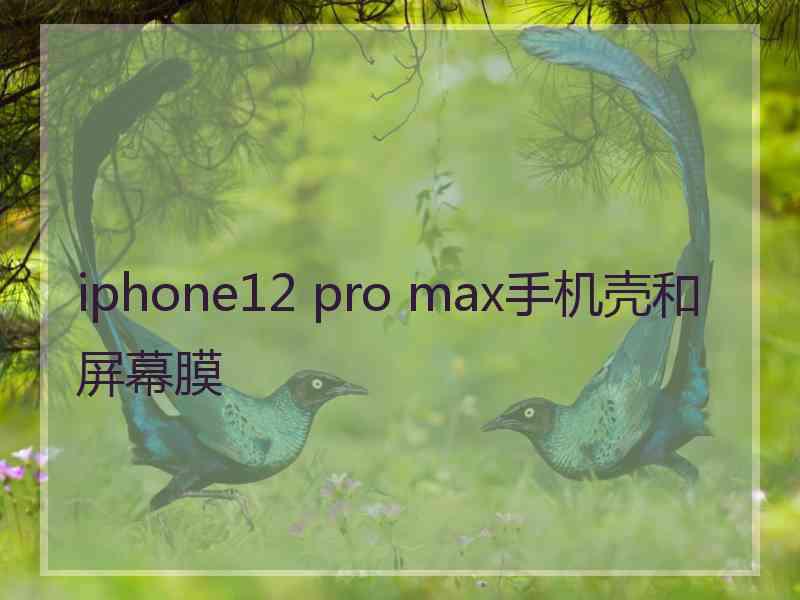 iphone12 pro max手机壳和屏幕膜