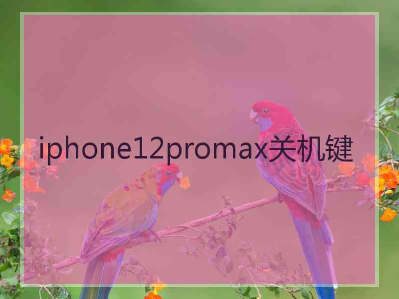 iphone12promax关机键