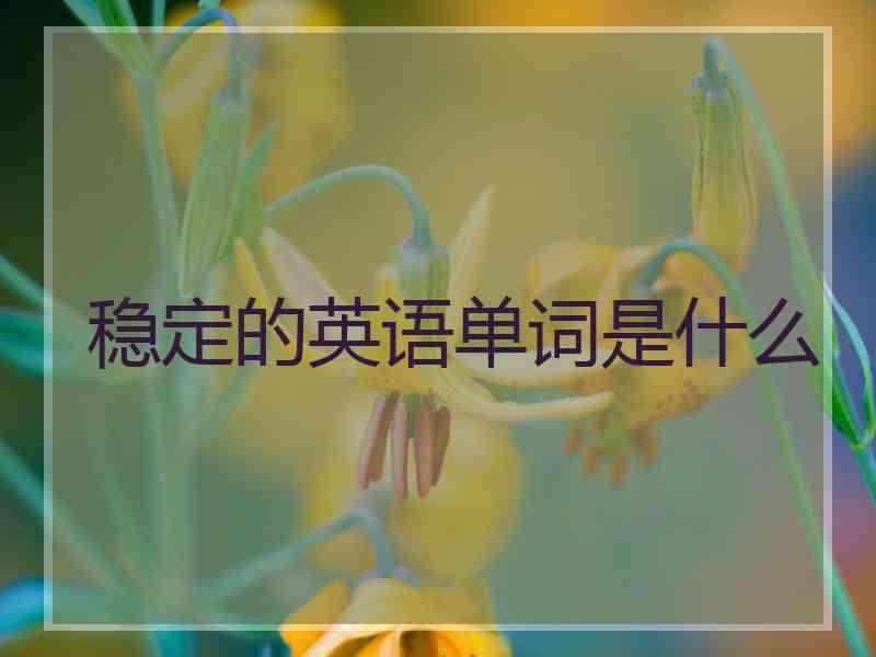 稳定的英语单词是什么